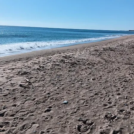 Estrella Del Mar